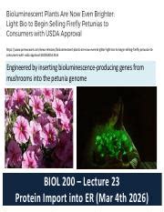 Understanding Protein Import into the Endoplasmic Reticulum | Course Hero