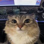 Arsenal | Hitbox Expander Open src — Roblox Scripts | ScriptBlox