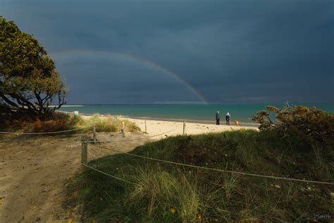 Spot the Dog by Fefe | ePHOTOzine