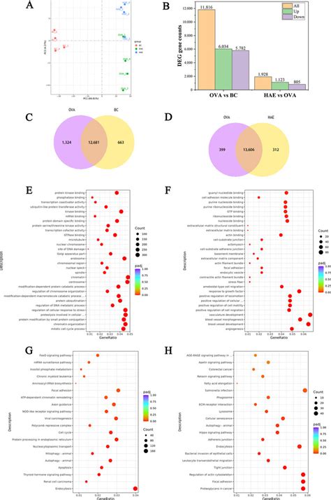 Three natural extracts alleviate ovalbumin-induced oxidative stress ...