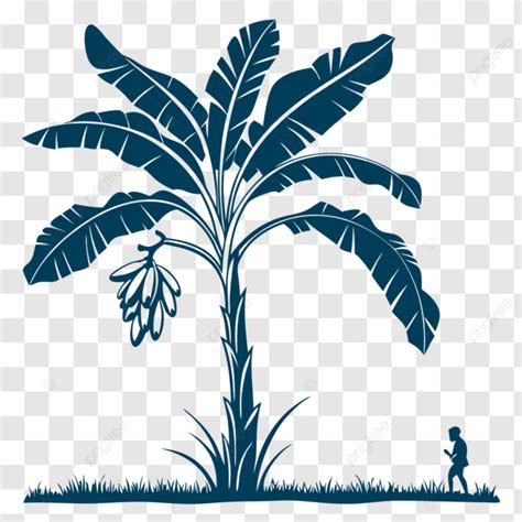 Banana Tree Design PNG Vector PSD And Clipart With Transparent