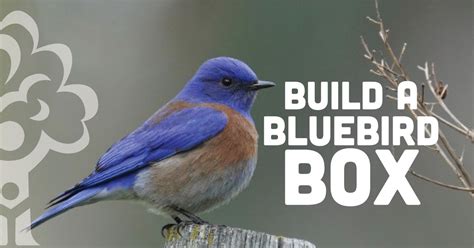 Blue Bird Box Workshop, Berks County Heritage Center, Spring Ridge, 11 ...