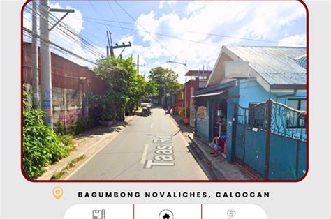 For Sale: Industrial Lot located at Bagumbong Novaliches, Caloocan City ...