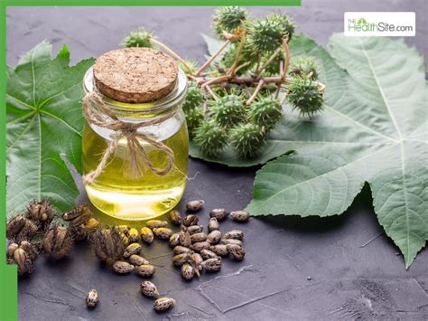 5 Best natural oils to mix with olive oil for faster hair growth on ...