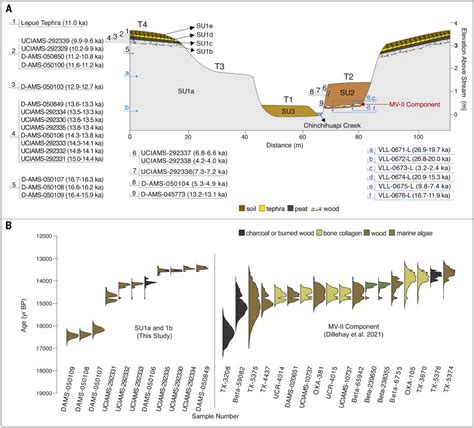 Scientists Say One of the Oldest Archaeological Sites in the Americas ...