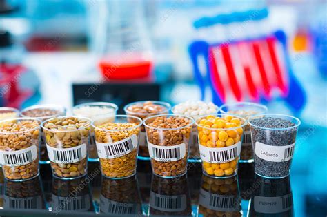 Food Samples Stock Image F0172864 Science Photo Library