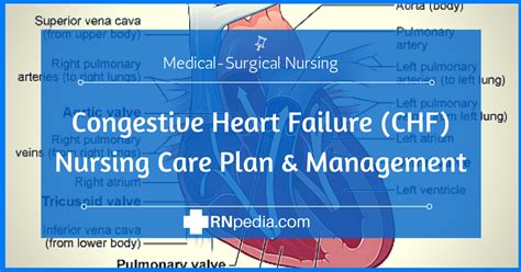Nursing Diagnosis For Heart Failure All You Need Infos