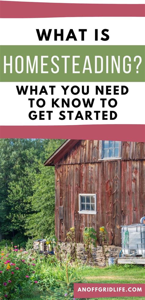 What Is Homesteading In 2020 What Is Homestead Homesteading