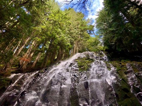 Ramona Falls Is A Perfect Mount Hood Hike With One Dangerous Problem