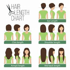 5 Women S Hair Lengths Explained Charts Diagrams Headcurve