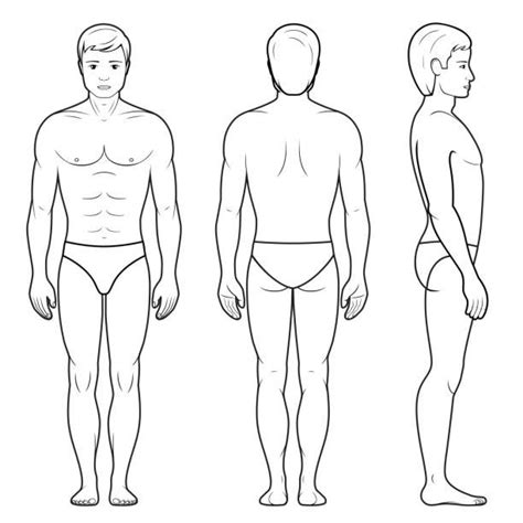 Vector Illustration Of Male Figure Front Back And Side View In