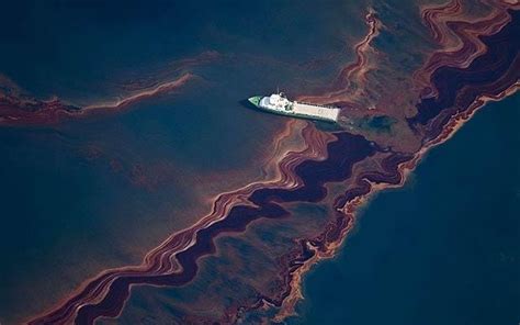 Bp Settles 78bn Gulf Of Mexico Oil Spill Claims Telegraph