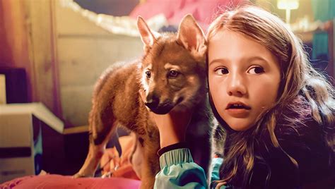Netflix 3 Películas Sobre Perros Que Te Desgarrarán El Corazón Glucmx