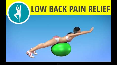 25 Exercise Ball Videos Back Pain Png Professional Exercise Ball