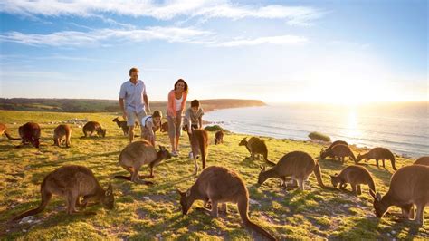 The Traveling Islanders Guide To Kangaroo Island Traveling Islanders