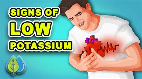 top 10 symptoms of low potassium you may be ignoring signs causes treatment youtube