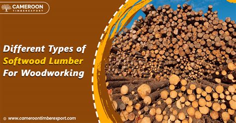 5 Most Common Types Of Softwood Lumber For Woodworking