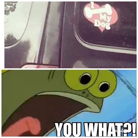 Best spongebob squarepants memes on memesbams.com. Do what now #Meme #Memes | Funny spongebob memes, Funny ...