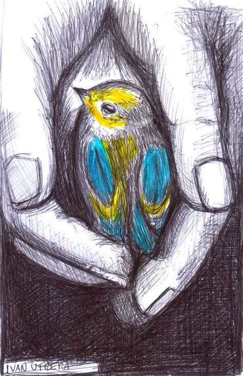 Pájaro A Lapicero Dibujos A Lapicero Dibujos Dibujos Bonitos