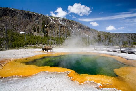 What To See In Yellowstone National Park