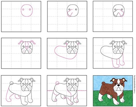 How To Draw A Bulldog Step By Step