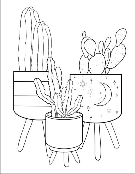 20 Page Cactus Coloring Book Etsy