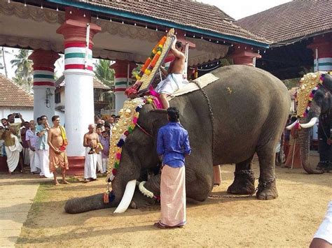 Chendamangalam Puthiya Thrikov Utsavam Lakshadweep Kerala South India