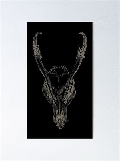 Deer Skull On Black Anatomical Drawing Deer Victorian Gothic
