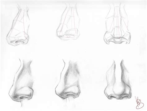Studytutorial Nose Structure By Risoru On Deviantart