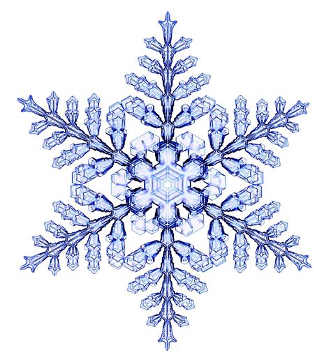 Snowflake Snow Flake Tattoo Snowflakes Real Snow Crystal