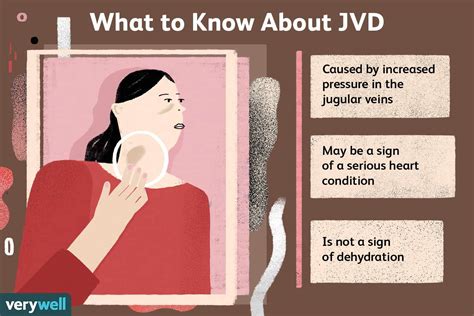 Jugular Vein Distention Jvd Causes And Treatments