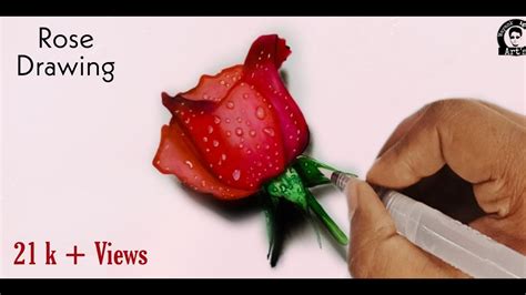 Rose Drawing Images 3d