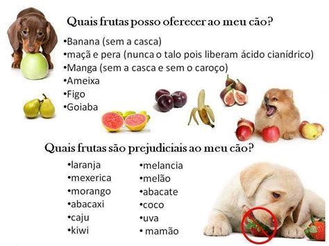 Super Veggs Quais Alimentos São Perigosos Para Os Cães E Quais Frutas