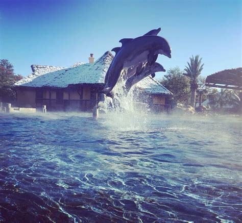 Feb 17, 2021 · snow is continuing to fall in san antonio with a few heavier bands carrying snowfall rates at 1 to 1.5 inches per hour. San Antonio rarely sees snow... even more rare for these ...