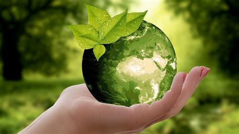 Hari Lingkungan Hidup Sedunia Fakta Yang Harus Kamu Ketahui