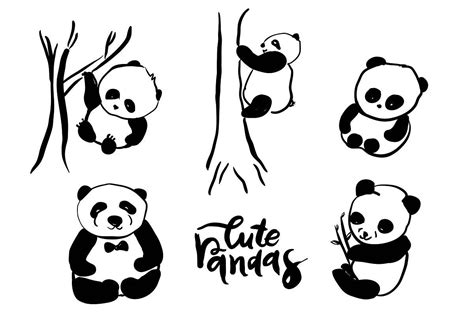 Cute Pandas Panda Drawing Doodle Drawings Cartoon Drawings