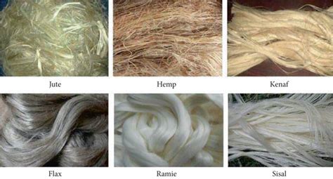 Different Type Of Natural Fibers That Can Be Used For Composite