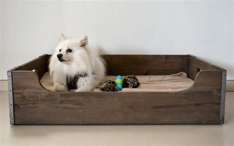 15 Incredible Diy Wood Dog Beds You Can Make At Home Today With