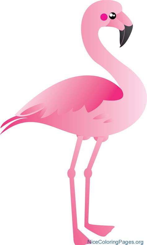 Pink Flamingo Clipart Vectored Image Ulsdvan