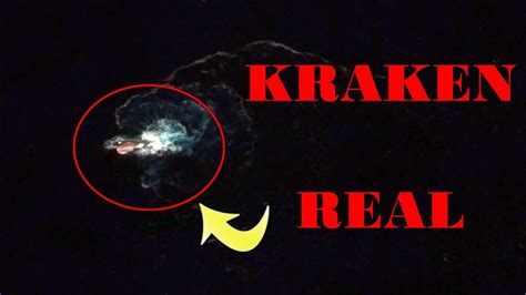 El Kraken Real El Kraken En La Vida Real Youtube