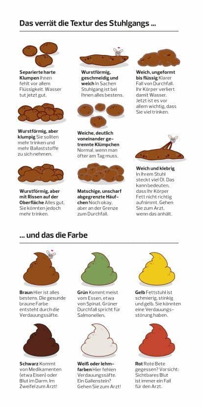 Konsistenz, farbe und häufigkeit der stuhlentleerung hängen von verschiedenen faktoren ab. Alarmsignale im Kot • Was der Stuhlgang verrät ...