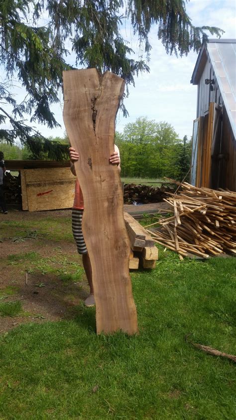I can be worked easily with hand tools and machining and it will glue black walnut lumber is widely used for gun stocks since it is lightweight and has good shock resistance. Black Walnut Slab - Kiln Dried - Wood Slabs