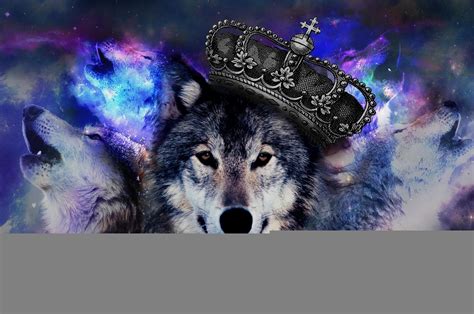 Wolves Galaxy Wallpapers On Wallpaperdog