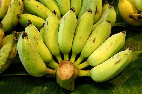 Hd Wallpaper Bananas Fruit Cultivated Banana Tropical Health Food