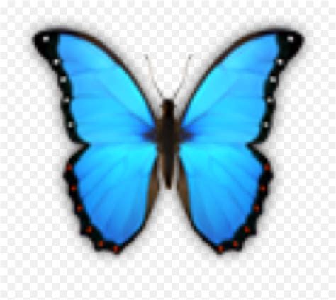 Butterfly Butterflies Emoji Stickerbutterfly Emoji Free Transparent