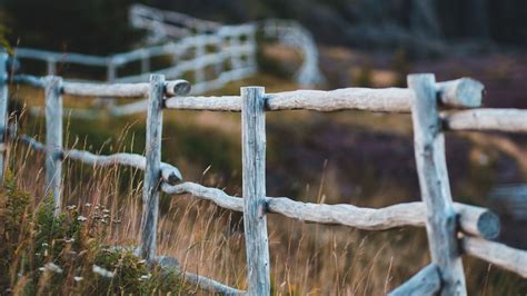 Download Wallpaper 1920x1080 Fence Fencing Wooden Meadow Pasture Full Hd Hdtv Fhd 1080p