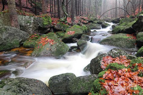 Stream In The Autumn Forest Photograph By Michal Boubin
