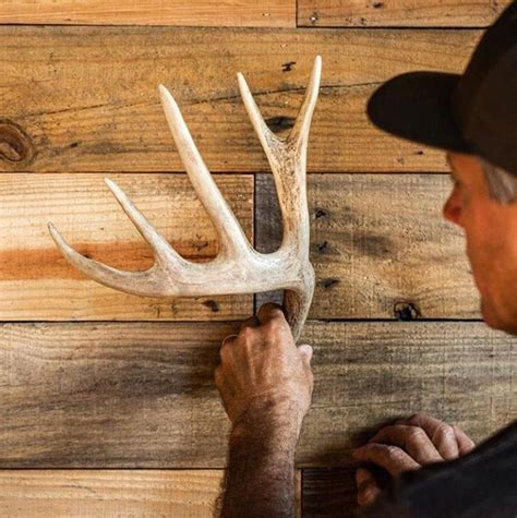 How To Mount Shed Antlers Howtovh