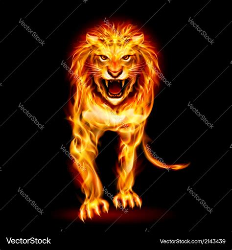 Fire Lion Royalty Free Vector Image Vectorstock