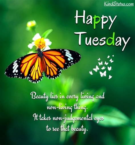 150 Happy Good Morning Tuesday Images Happy Tuesday Quotes